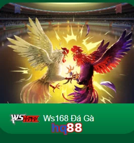 hq88